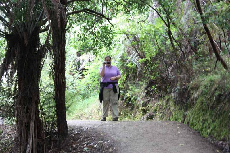 Nieuw-Zeeland 2011 - 0457